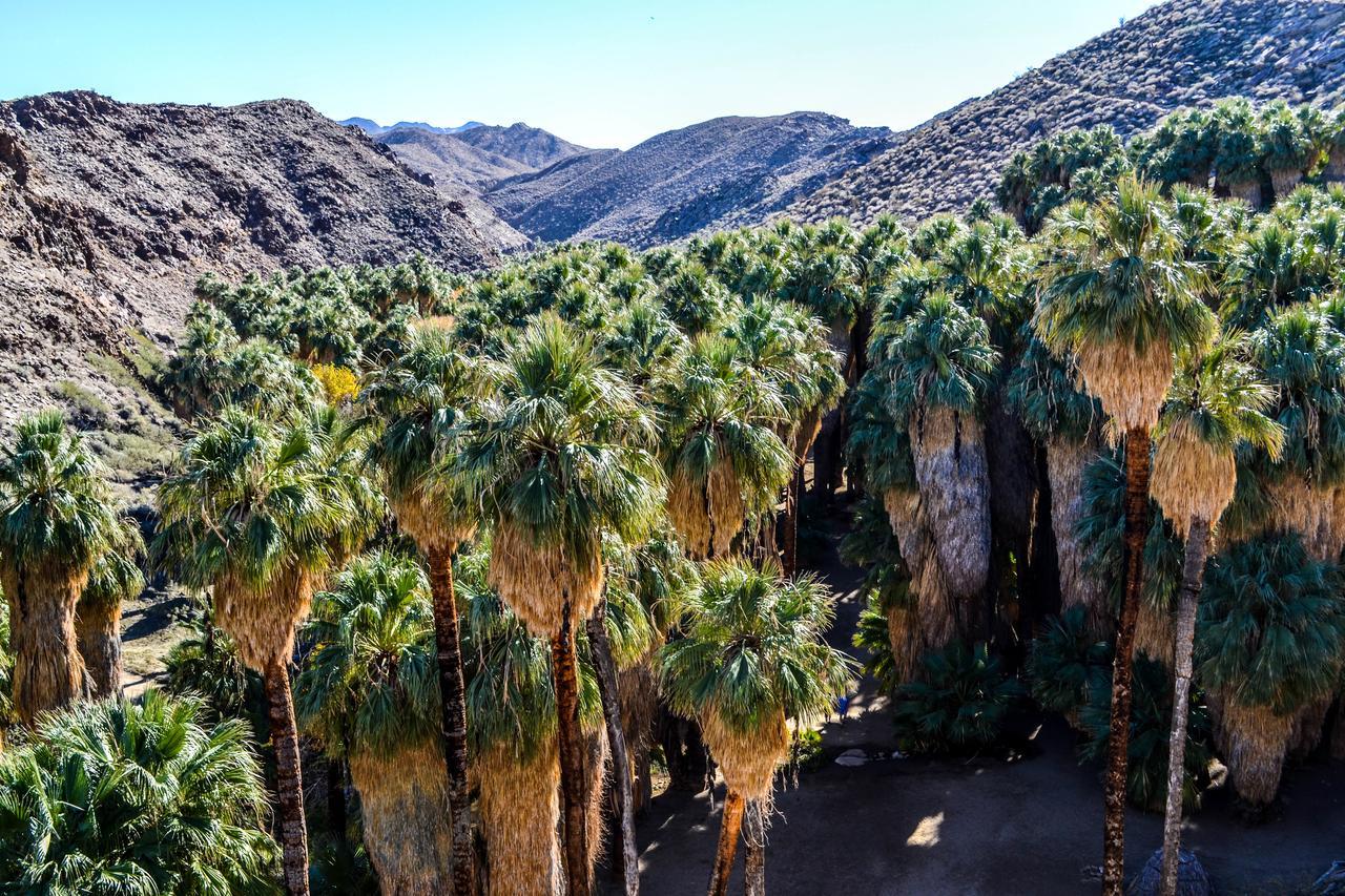 Villa Cristine - Spanish Style Palm Springs Villa Eksteriør bilde